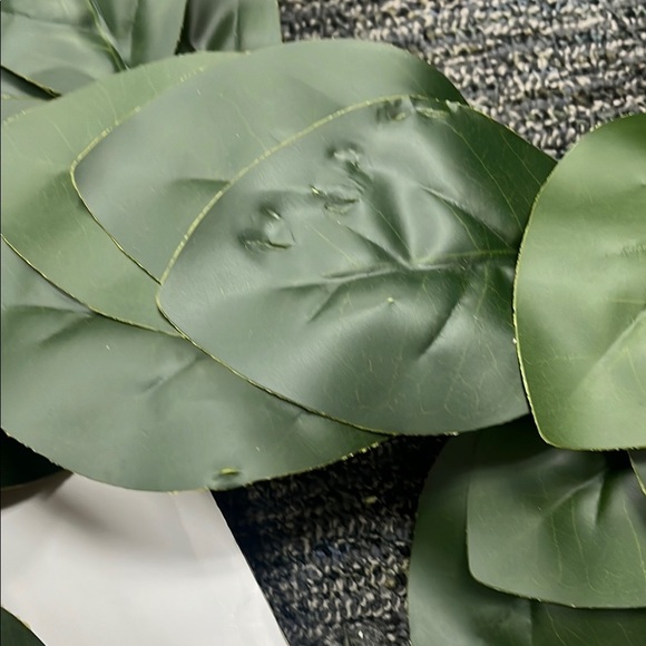 Artificial Magnolia Green Leaf Wreath - Picture 7 of 12